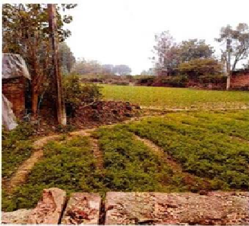 SHIVANI FRESH FOOD_PROPERTY 3 117241